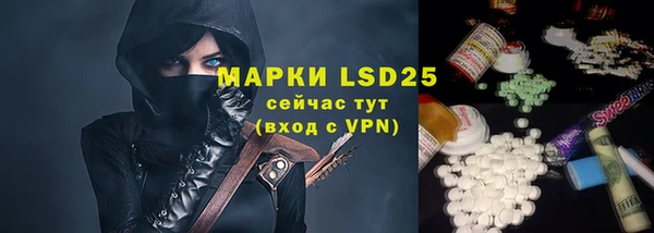 шишки Бугульма