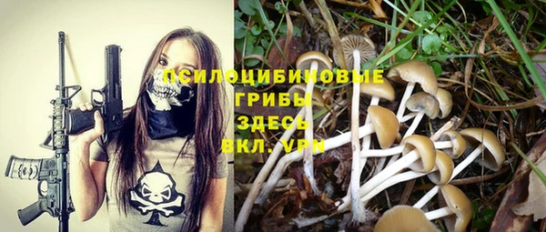 соль курить ск Бронницы