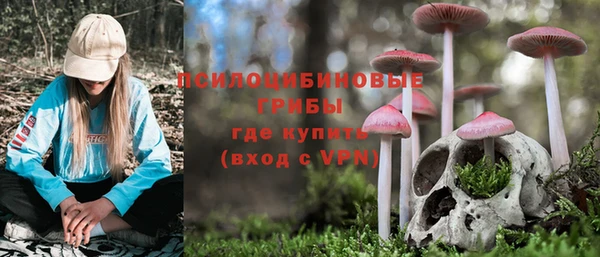 соль курить ск Бронницы
