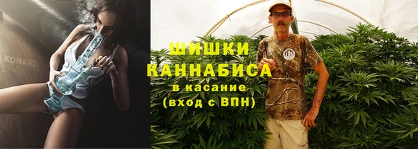 кокс Бородино